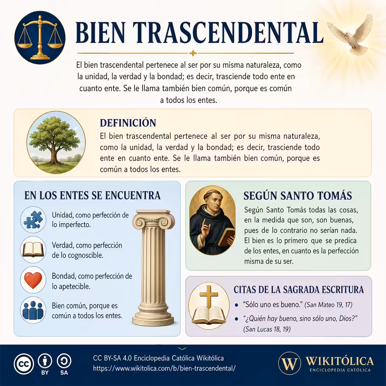 Infografía de Bien trascendental